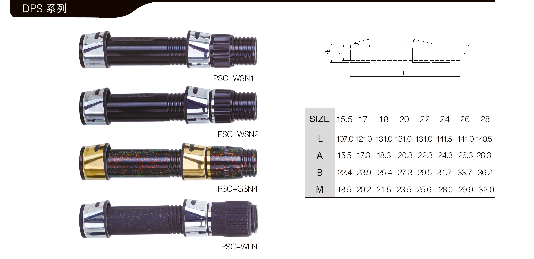 DPS02.jpg