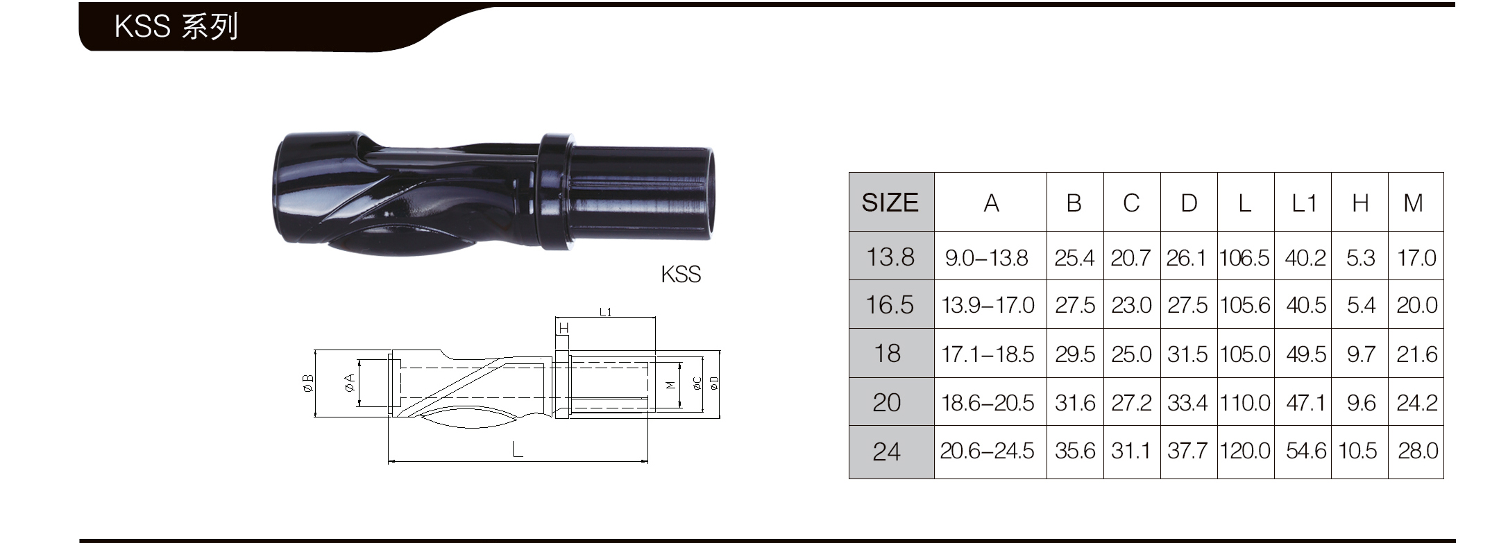 KSS02.jpg