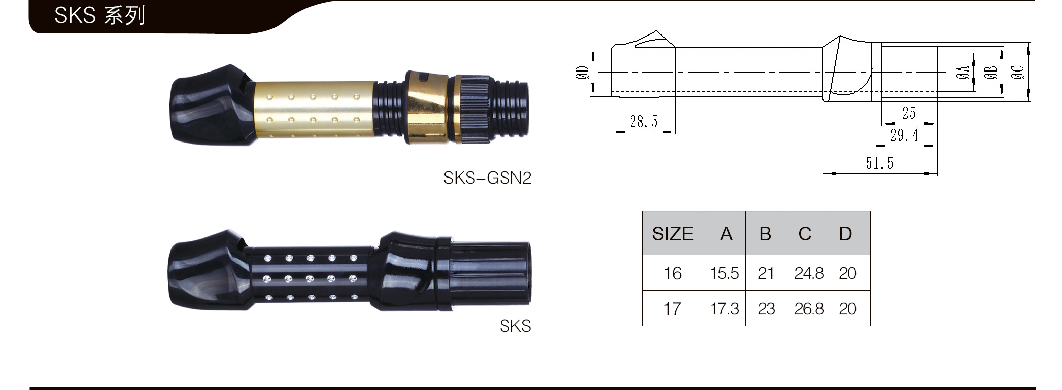 SKS02.jpg