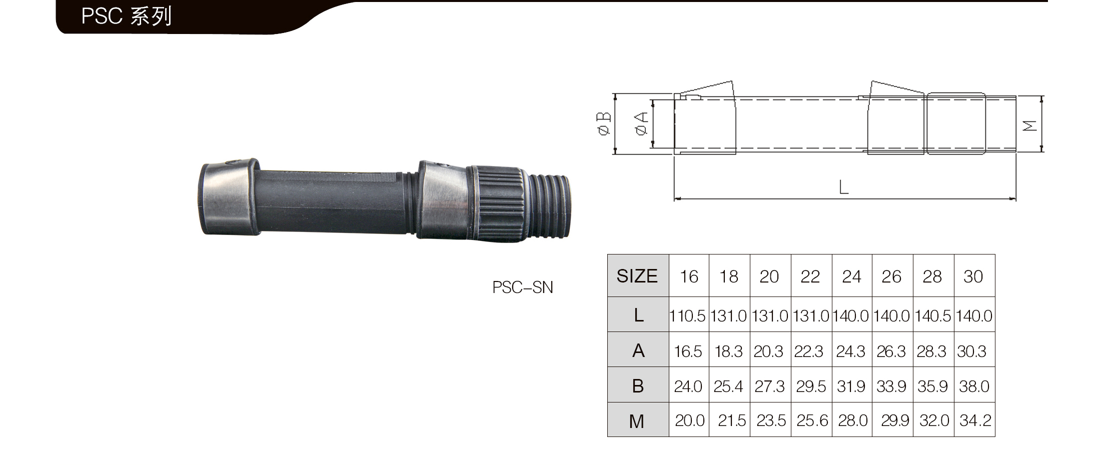 PSC02.jpg